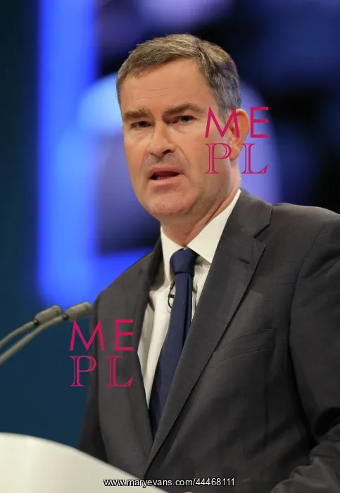 : David Gauke MP : David Gauke MP