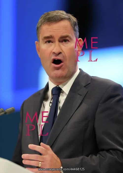 : David Gauke MP : David Gauke MP