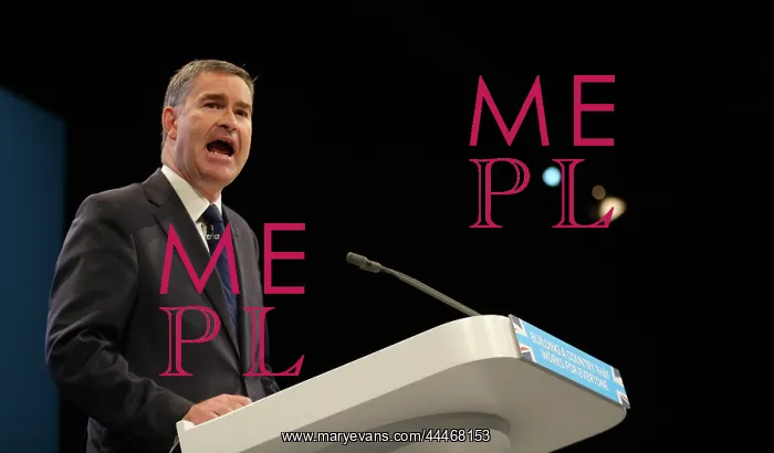 : David Gauke MP : David Gauke MP