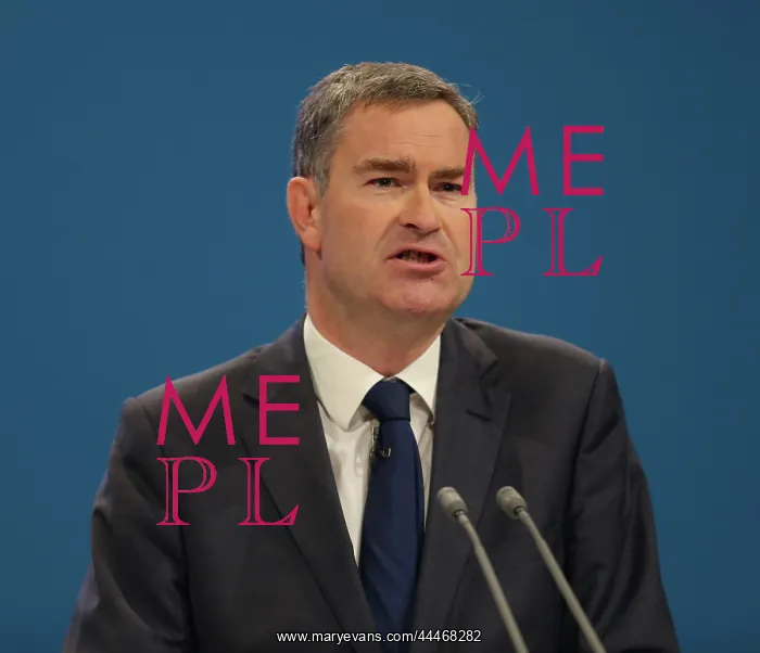 : David Gauke MP : David Gauke MP