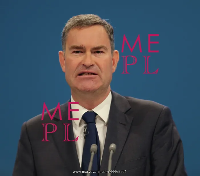 : David Gauke MP : David Gauke MP