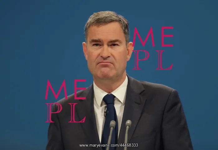 : David Gauke MP : David Gauke MP