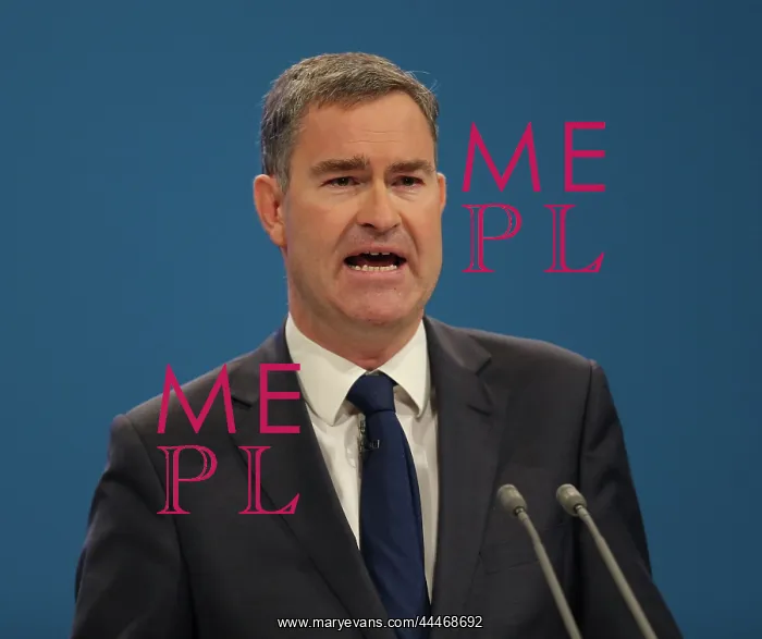 : David Gauke MP : David Gauke MP