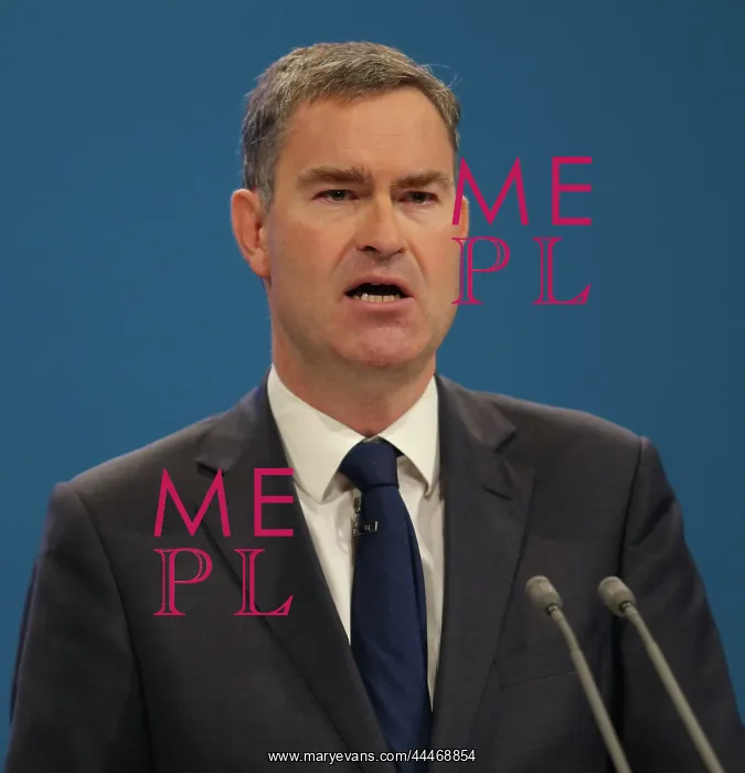 : David Gauke MP : David Gauke MP