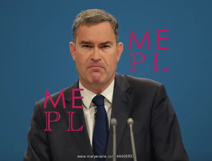 : David Gauke MP : David Gauke MP