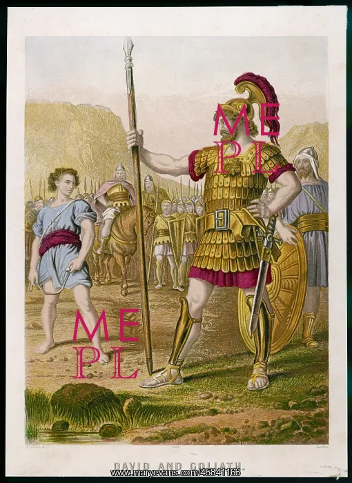  : DAVID / GOLIATH (KRONHEIM)