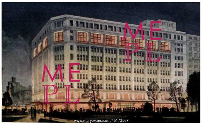 : David Jones Building : David Jones Building