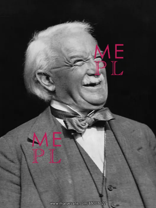 : David Lloyd George, 1931 : David Lloyd George, 1931