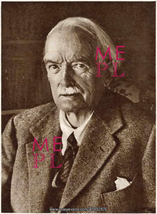 : David Lloyd-George : David Lloyd-George
