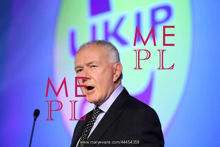 : David Mcnarry Mlp : David Mcnarry Mlp