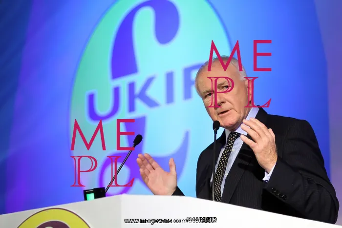 : David Mcnarry Mlp : David Mcnarry Mlp