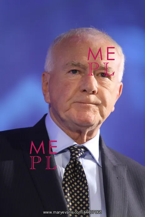 : David Mcnarry Mlp : David Mcnarry Mlp