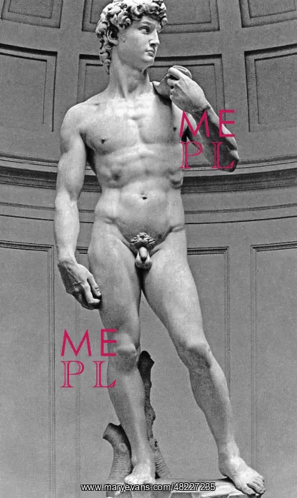 : David by Michelangelo : David by Michelangelo