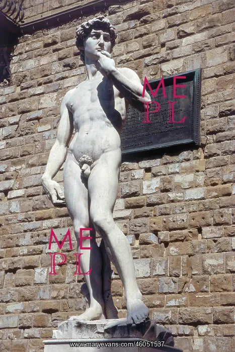 : David by Michelangelo in Florence : David by Michelangelo in Florence