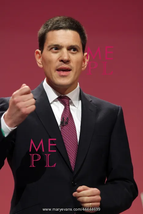 : David Miliband MP : David Miliband MP