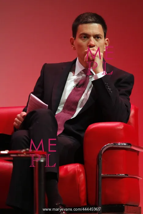 : David Miliband MP : David Miliband MP