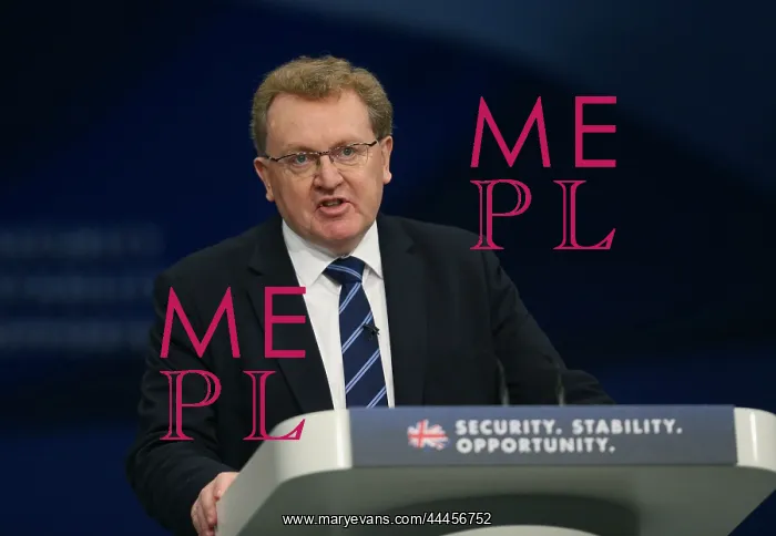 : David Mundell MP : David Mundell MP