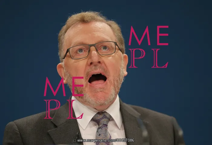 : David Mundell MP : David Mundell MP
