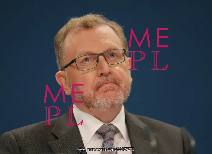 : David Mundell MP : David Mundell MP