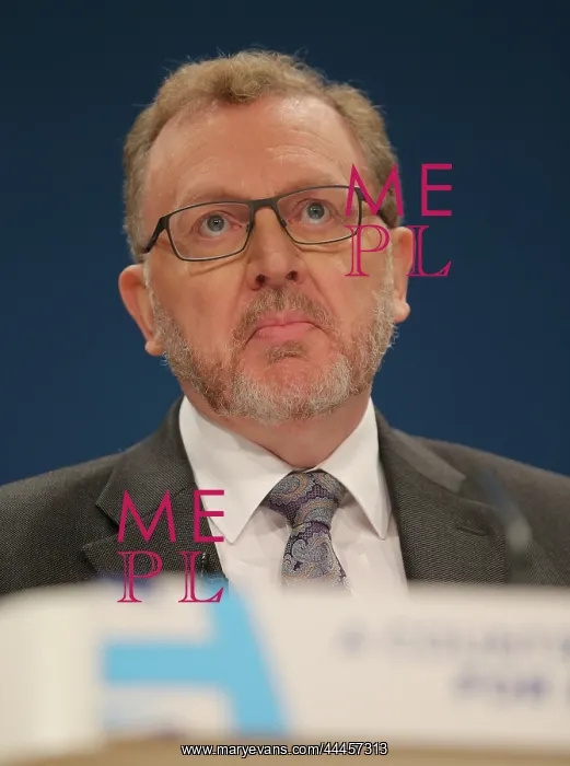 : David Mundell MP : David Mundell MP