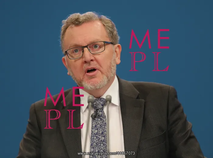 : David Mundell MP : David Mundell MP