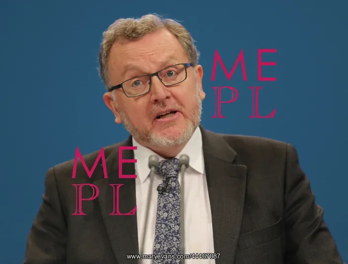 : David Mundell MP : David Mundell MP