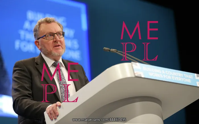 : David Mundell MP : David Mundell MP