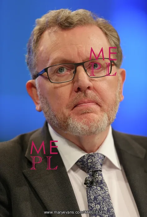 : David Mundell MP : David Mundell MP