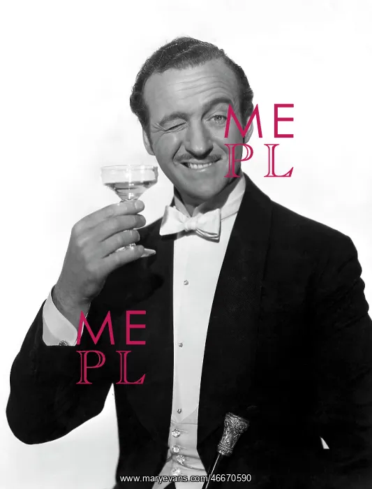 : David Niven - actor man : David Niven - actor man