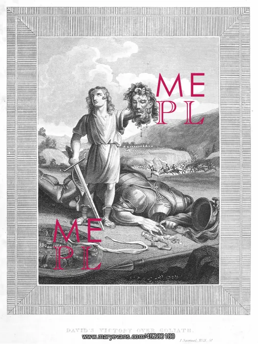  : DAVID repeats