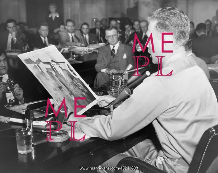 : David Schine (1927-1996), a former member ? : David Schine (1927-1996), a former member ?