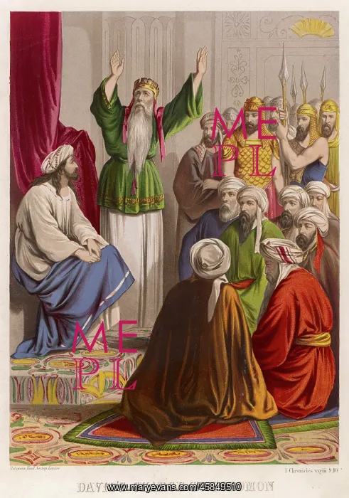 : DAVID & SOLOMON : DAVID & SOLOMON