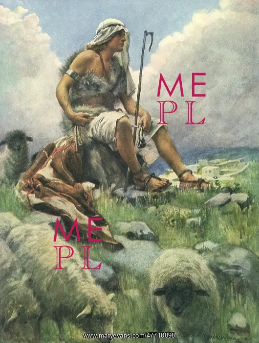  : David Tends Flock