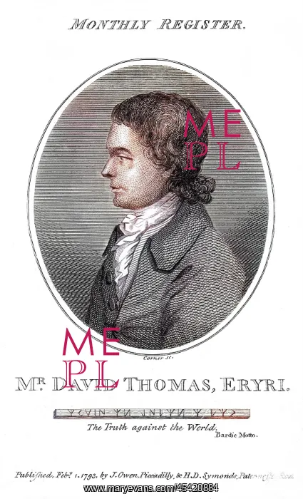 : DAVID THOMAS : DAVID THOMAS