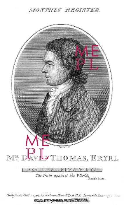 : DAVID THOMAS : DAVID THOMAS