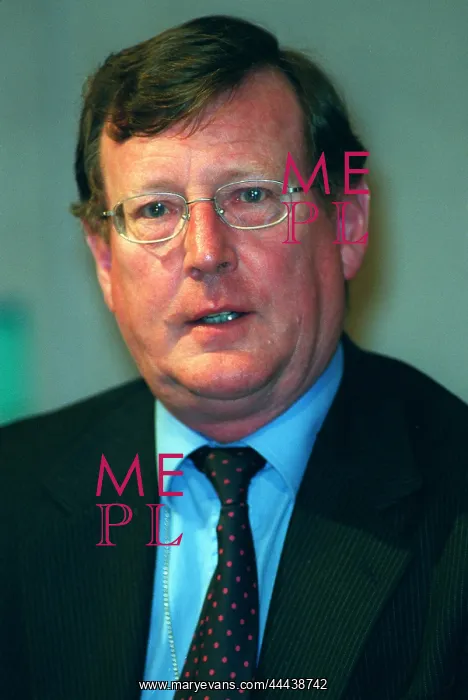 : David Trimble MP : David Trimble MP