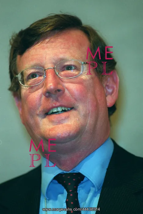 : David Trimble MP : David Trimble MP