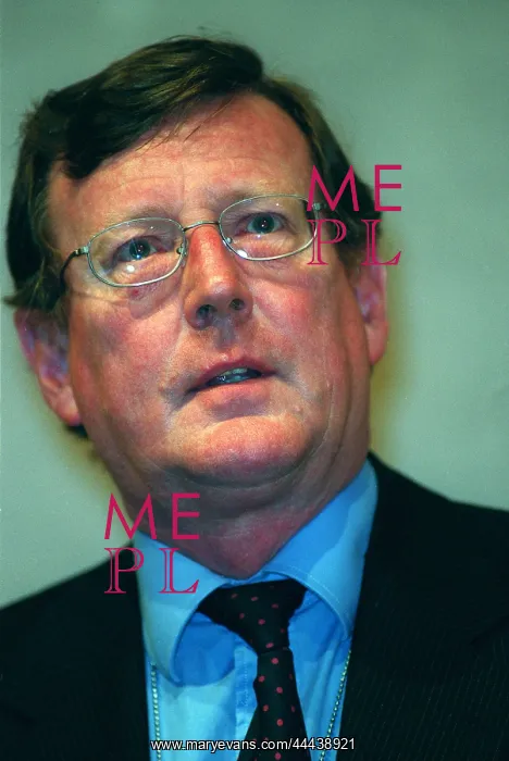 : David Trimble MP : David Trimble MP