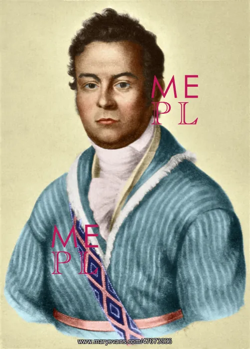 : David Vann, Cherokee Indian Leader : David Vann, Cherokee Indian Leader