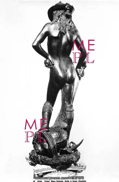 : David, back view, bronze sculpture by Donatello : David, back view, bronze sculpture by Donatello