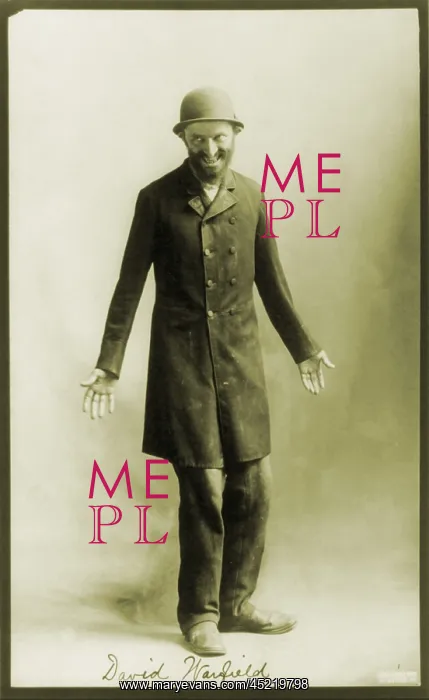 : David Warfield (1866-1951), American actor, ? : David Warfield (1866-1951), American actor, ?