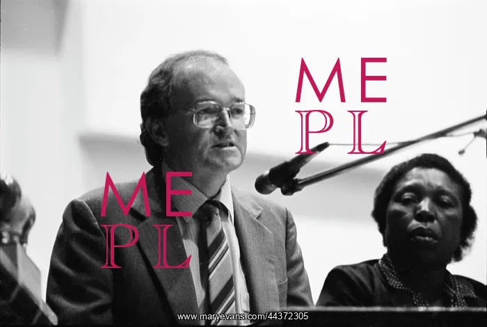 : David Webster speaking at a Children Commission enquiry : David Webster speaking at a Children Commission enquiry
