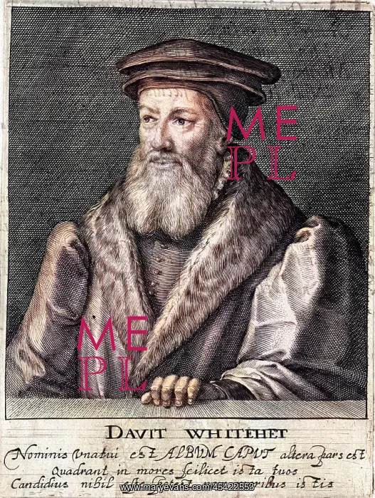  : DAVID WHITEHEAD