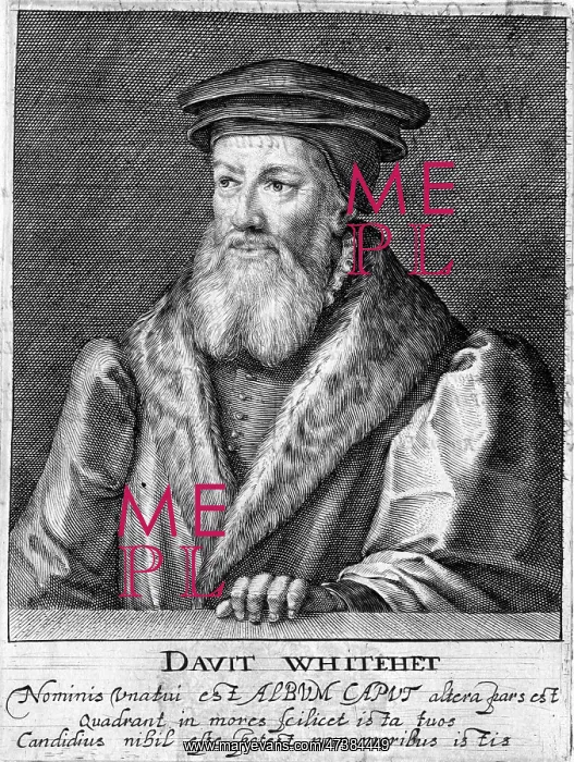  : DAVID WHITEHEAD