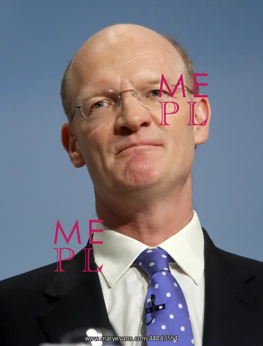 : David Willets MP : David Willets MP