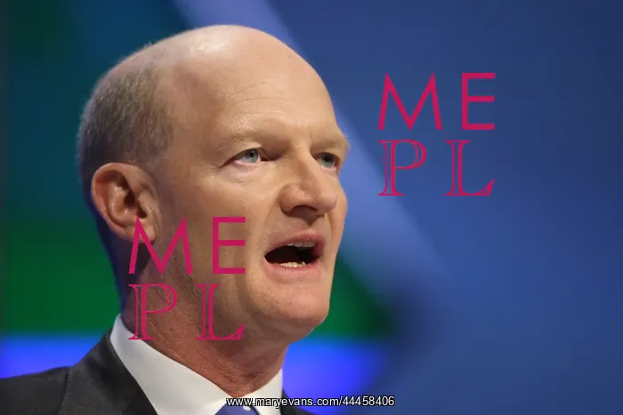 : David Willets MP : David Willets MP