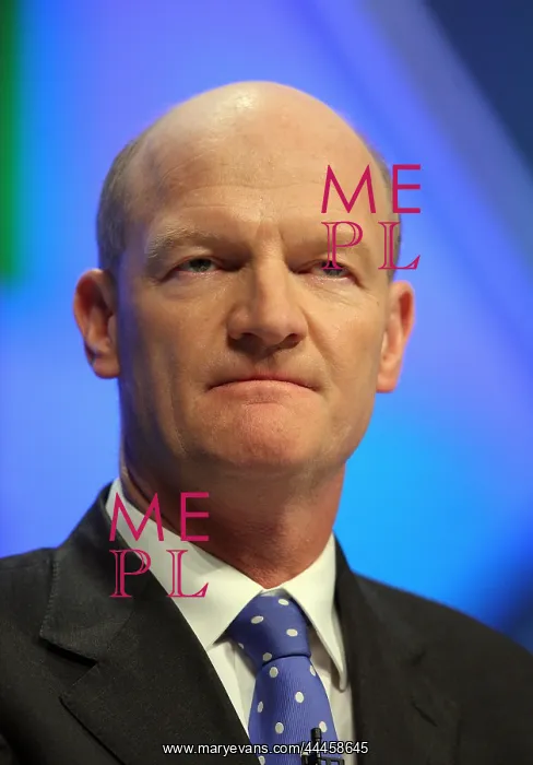 : David Willets MP : David Willets MP