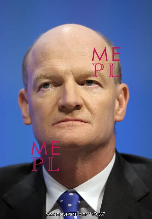 : David Willets MP : David Willets MP