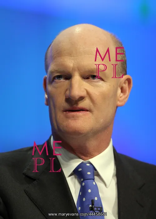 : David Willets MP : David Willets MP