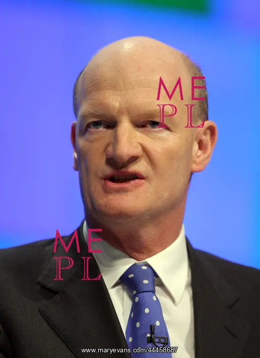 : David Willets MP : David Willets MP